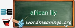 WordMeaning blackboard for african lily